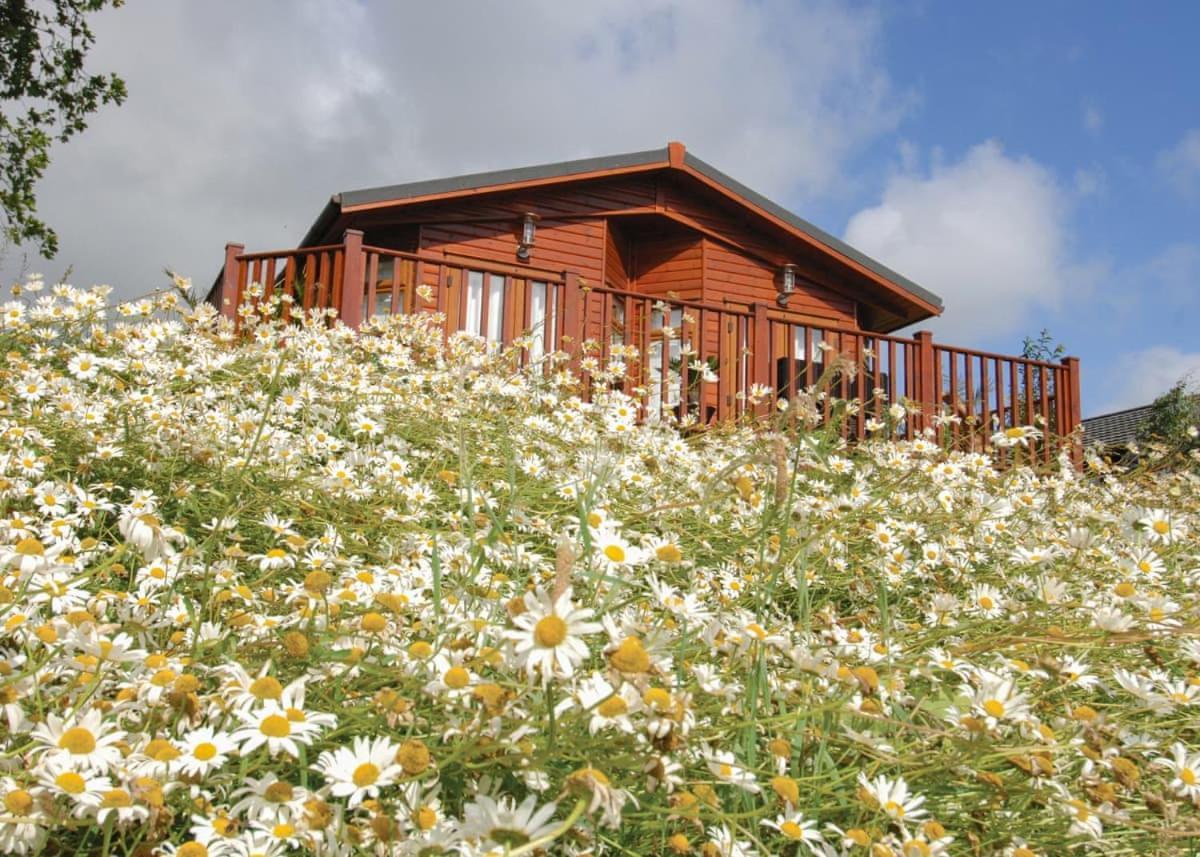 Hotel Hornbeam Country Park Honiton Exteriér fotografie